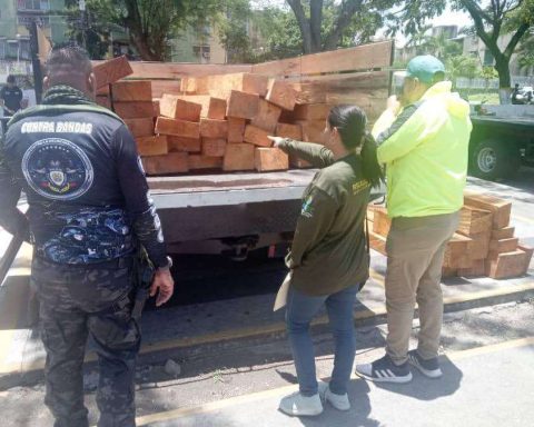 They seize wood of illegal origin and stop 7 people in Mérida