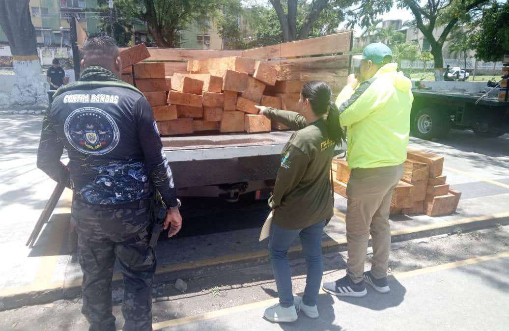 They seize wood of illegal origin and stop 7 people in Mérida