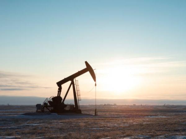 To August, direct foreign investment decreased 20%