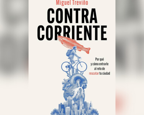 To the municipality you have to give cadence for change: Miguel Treviño