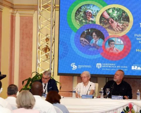 Two Brazil ministers participate in Cuba in a bilateral forum on public policies