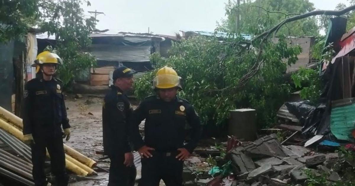 Two injured, damage to houses and tree fall left the passage of a gale in Montería