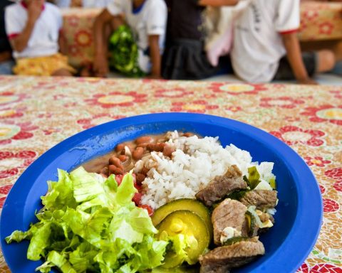 UNESCO draws attention to the quality of school meals in the world