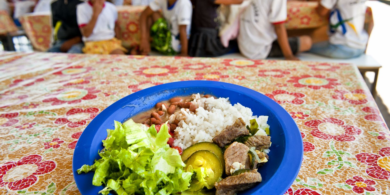 UNESCO draws attention to the quality of school meals in the world
