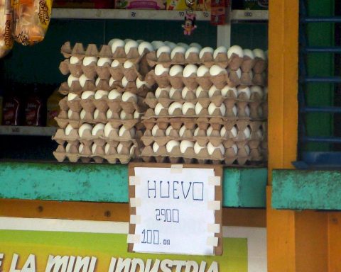 US agricultural and food exports to Cuba grow 34 % in July 2025