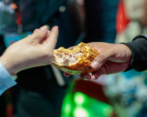 Venezuela promotes its culinary heritage with IGP and Doc products