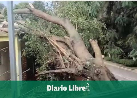 Ventarrón in Licey leaves housing and plantations of bananas affected