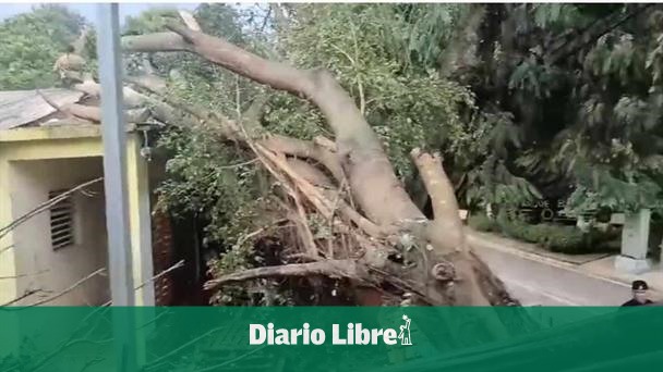 Ventarrón in Licey leaves housing and plantations of bananas affected