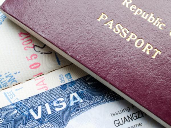 Visas withdrawal to officials would complicate businesses with multilateral banking: Amcham