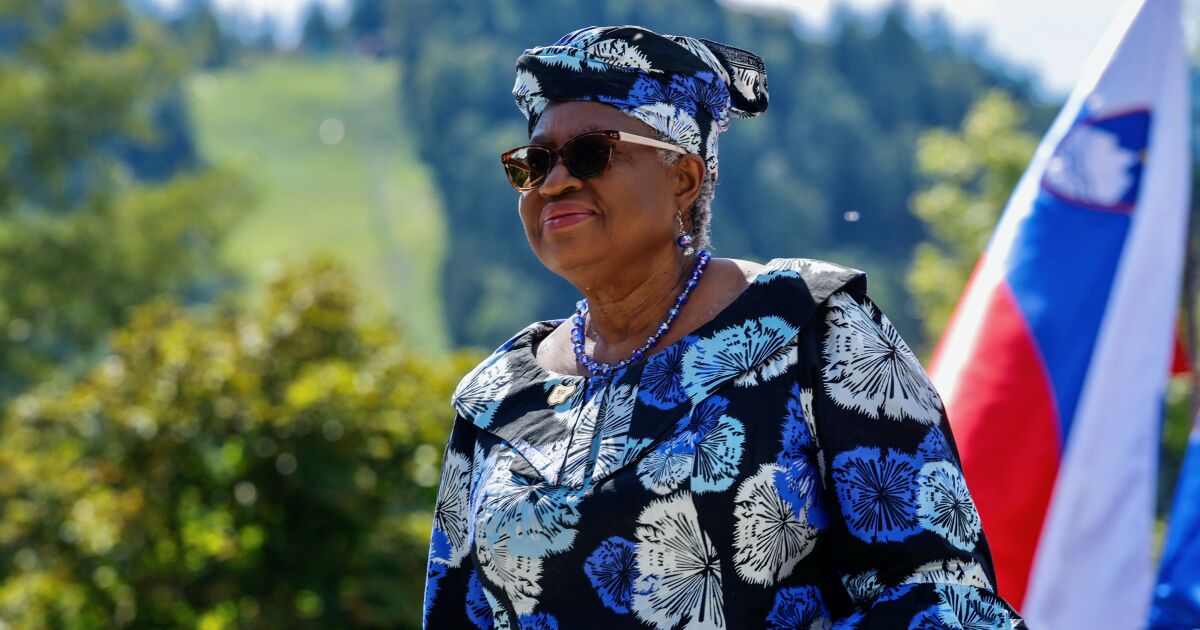 WTO: World trade is bent, but not broken