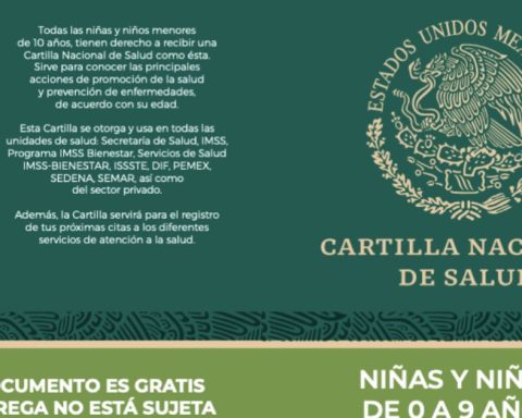 What to do was lost my son's vaccination card? Steps to obtain reprint