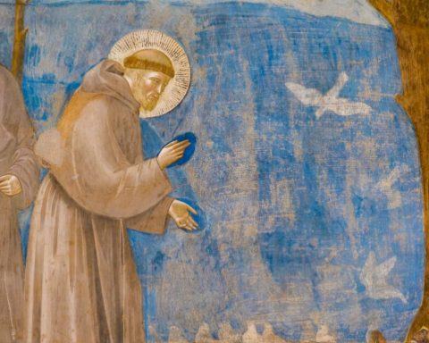 When is San Francisco de Asís celebrated and what miracles are attributed to him?