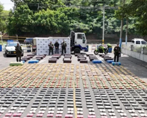 While waiting for a certification, Colombia reveals seizure figures