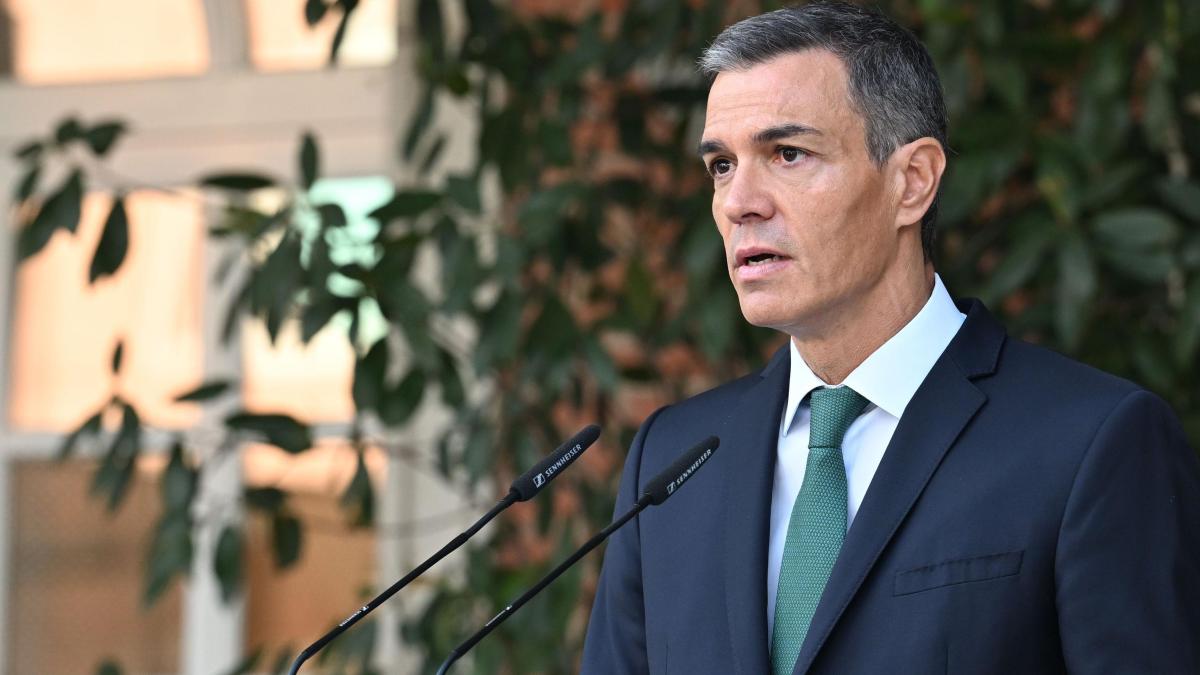 "This is not defending itself, it is not even attacking, it is exterminating": Spain announces 9 pressure measures to Israel by the "Genocide in Gaza"