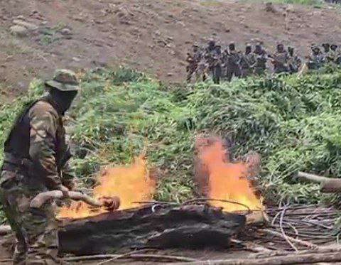 10 camps dismantled after activation of the Binational Peace Zone