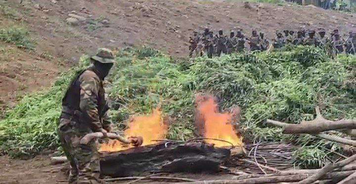 10 camps dismantled after activation of the Binational Peace Zone