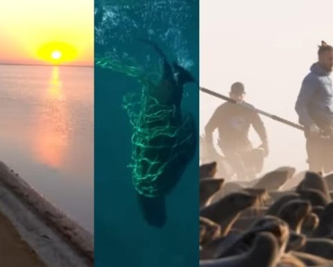 5 películas que te harán proteger el planeta