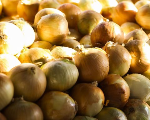 Accumulated food inflation is the lowest since September 2024