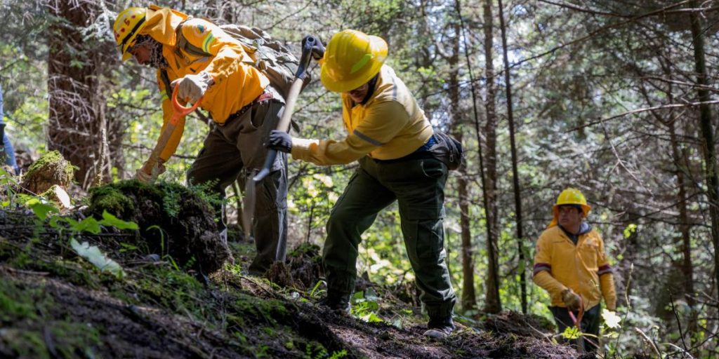 Activists and groups begin search days for missing people in Ajusco