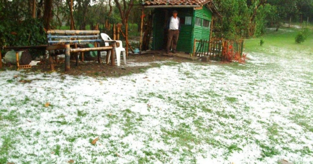 Affected crops leave strong hail in the municipality of Guarne, eastern Antioquia