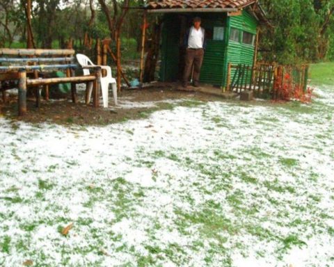 Affected crops leave strong hail in the municipality of Guarne, eastern Antioquia