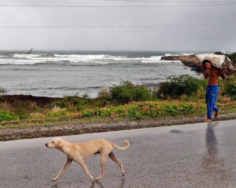 Against the clock as Hurricane Melissa approaches: Cubans dedicate themselves to reinforcing their homes
