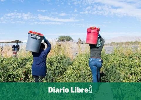 Agricultural sector requires permits for foreign workers