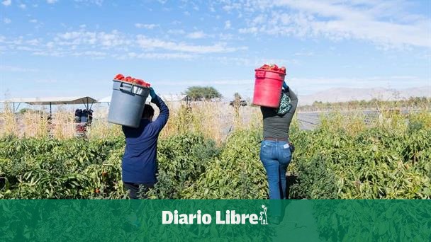 Agricultural sector requires permits for foreign workers