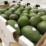 Agroexports exceeded US$7.8 billion