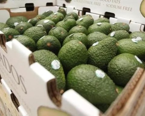 Agroexports exceeded US$7.8 billion