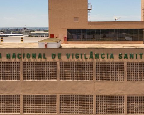 Anvisa prohibits fake batches of tea and supplements that are unsafe for consumption