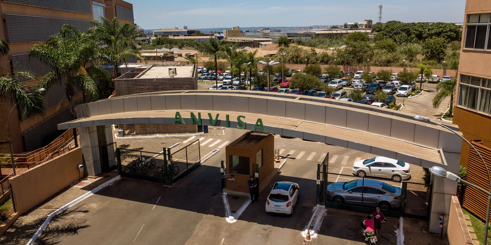 Anvisa prohibits sale of cannabis and mushroom products