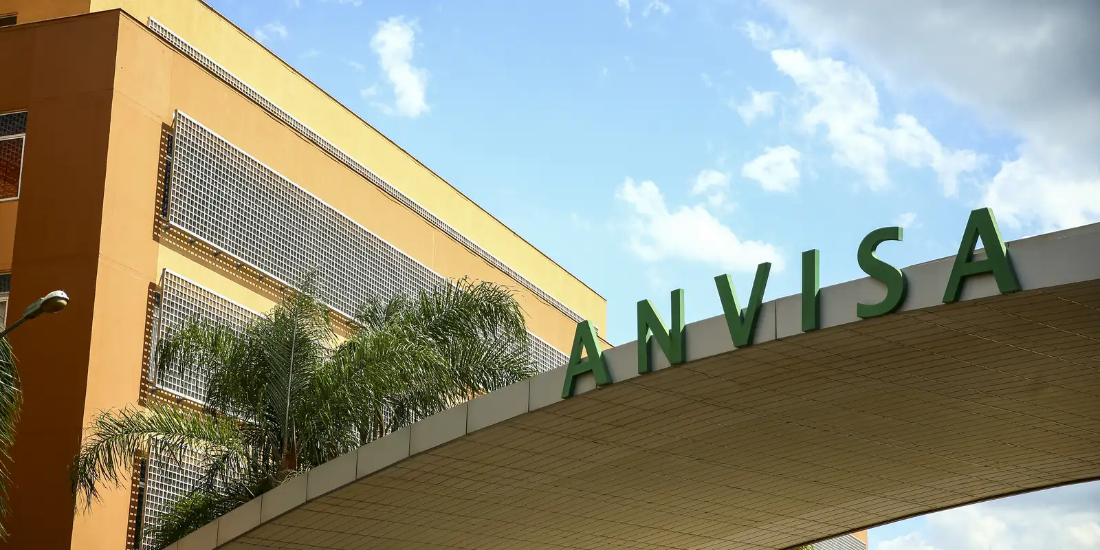 Anvisa restricts sales of olive oil, Himalayan salt and tea; check it out