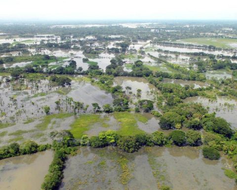 Authorities investigate the death of a farmer on the Magangué farm, Bolívar