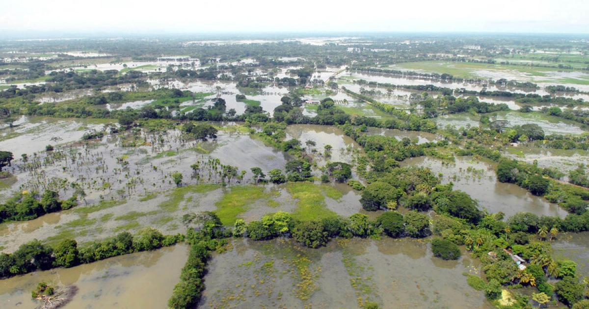 Authorities investigate the death of a farmer on the Magangué farm, Bolívar