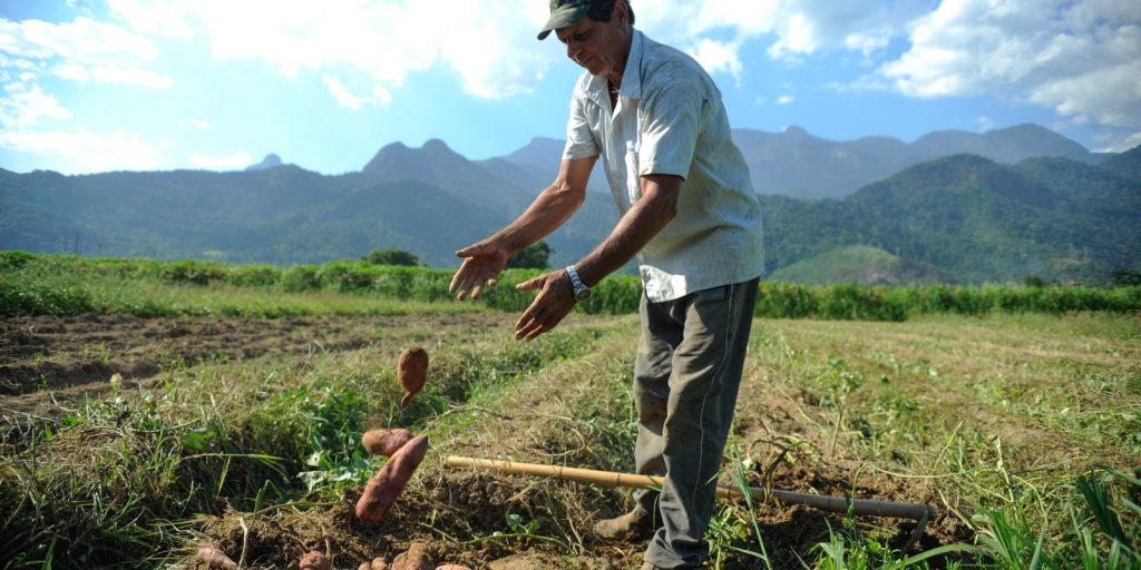 BNDES will release R$12 billion for rural producers with crop losses