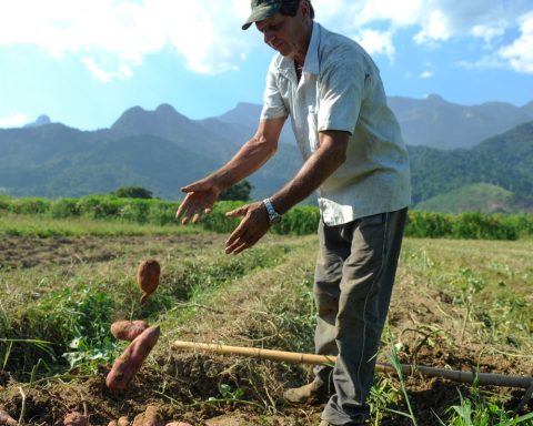 BNDES will release R$12 billion for rural producers with crop losses