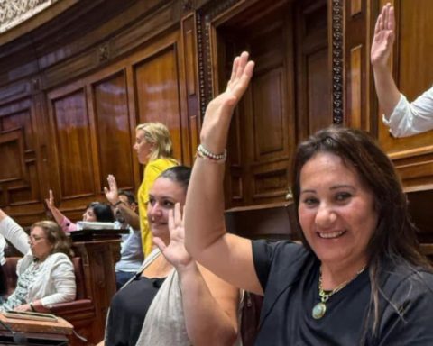 Badín: “The budget prioritizes child poverty, security and employment, with many advances in Colonia”