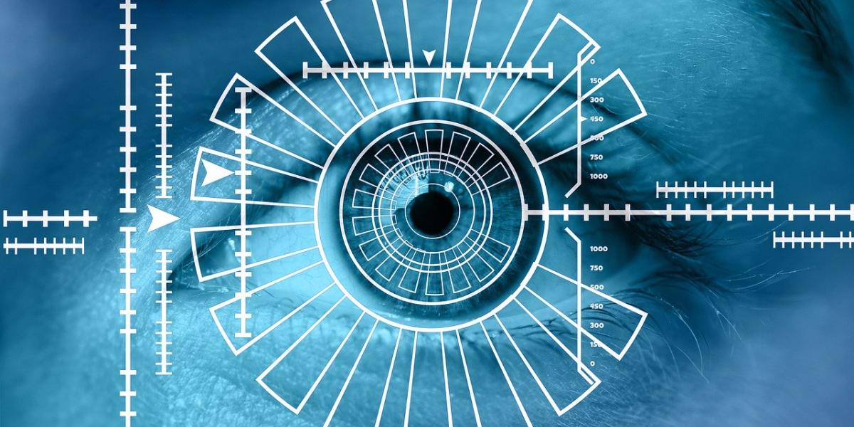Biometric CURP: Is it possible to process it online?