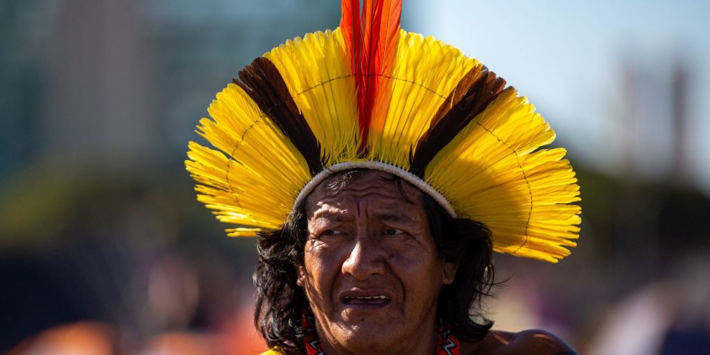 Brazil has 5.42% of indigenous children without a birth certificate