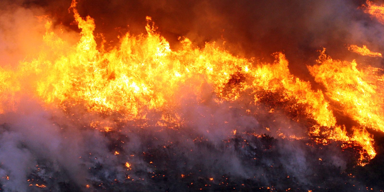 Brigade members fight fire in Cavalcante, Goiás