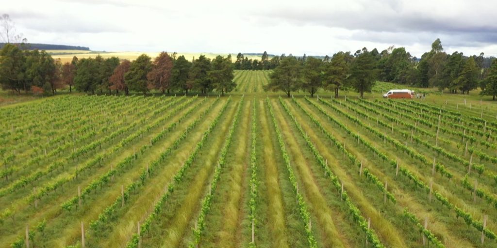 CMN restricts special line of R$ 12 billion to producers in RS