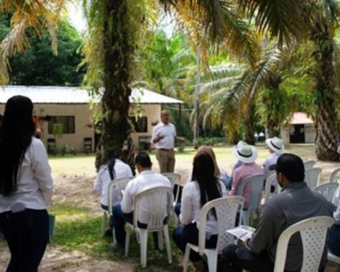 Cargill and Solidaridad advance in measuring and reducing carbon footprint in palm