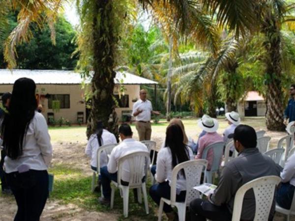 Cargill and Solidaridad advance in measuring and reducing carbon footprint in palm