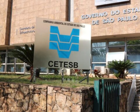 Cetesb investigates fish deaths in the city of Meridiano (SP)