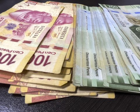 #Columnainvita | The amparo in the sights, citizen shield or weapon of the state?