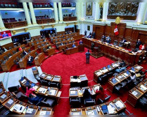 Congress: They approve an opinion that eliminates the word "gender" In Law on Equal Opportunities