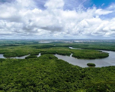 Delegates from 56 countries will discuss in Venezuela about climate crisis challenges