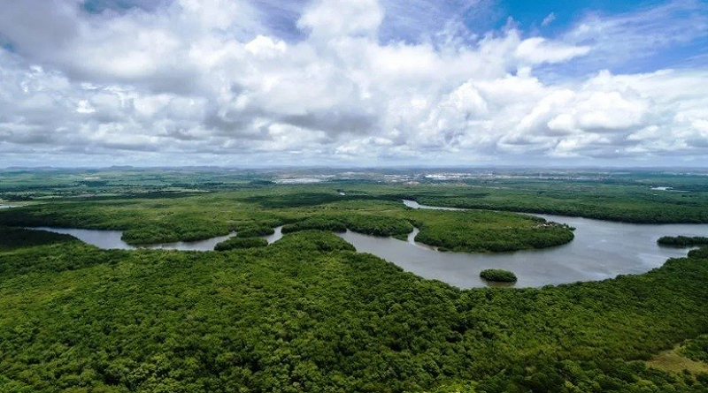 Delegates from 56 countries will discuss in Venezuela about climate crisis challenges