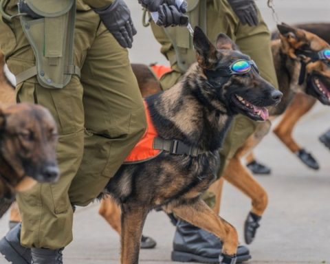 Do you want to work in Carabineros de Chile? These are the vacancies available with salaries of more than